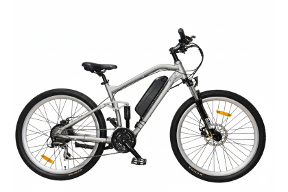 Savage Gris 27,5