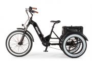 Elektrische Driewieler Artemis