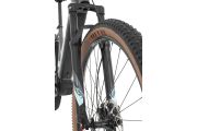 Torrent INT e70-29 B Lady