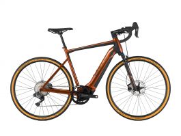 ebike Bulls Grinder EVO CX